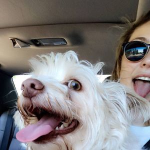 Meet your Posher, Gina